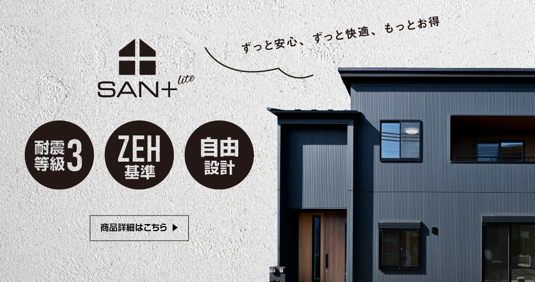 SAN+Lite