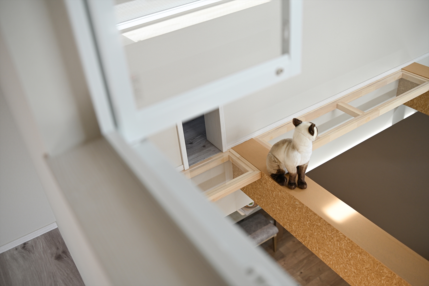 キャットウォークでくつろぐ猫